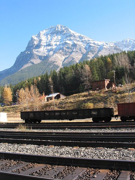 Click on picture to go back.